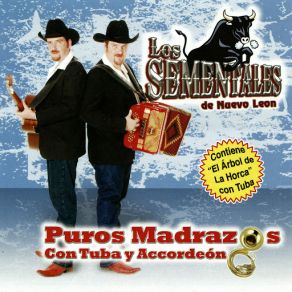 Download track La Mascara Los Sementales De Nuevo Leon