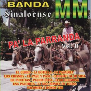 Download track Flor Hermosa Banda Sinaloense MM