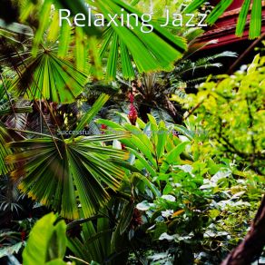 Download track Successful Jazz Piano - Ambiance For Anxiety Relaxing Jazz