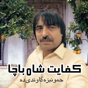 Download track Malgarow Tasow Rana Zay Kifayaat Shah Bacha