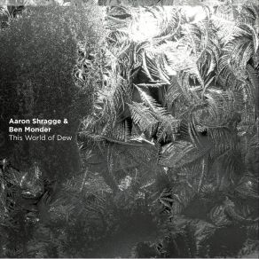 Download track This World Of Dew Aaron Shragge