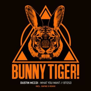 Download track What You Want (Special Mix) Dustin Mccoi