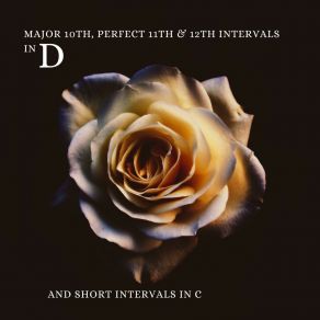 Download track Major 10th, Perfect 11th & Perfect 12th Intervals In D Javier Heredia