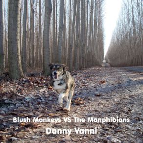 Download track Blush Monkeys Danny Vanni