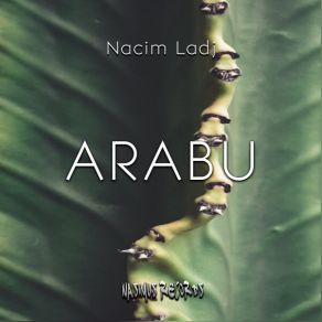 Download track Arabu Nacim Ladj