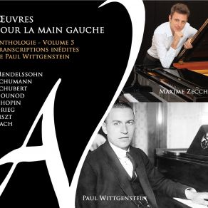 Download track 05. Romances Sans Paroles, Op. 85 No. 1 (Tr. Pour Main Gauche De Wittgenstein) Maxime Zecchini