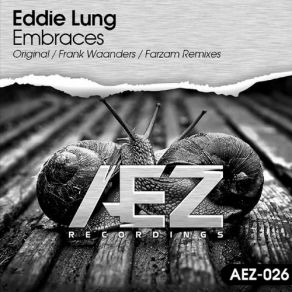 Download track Embraces (Farzam Remix) Eddie LungFarzam