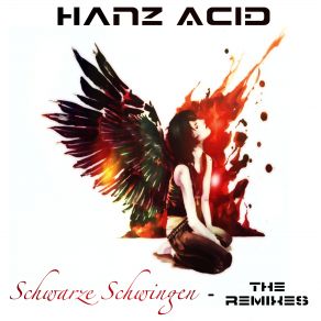 Download track Schwarze Schwingen (Bathead Remix) Hanz Acid