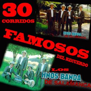 Download track Arturo Garza Trevino Los Hermanos Banda De Salamanca