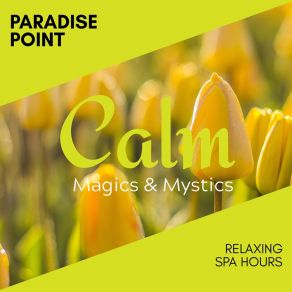 Download track Bliss Of Your Soul Spa Zen Melodies