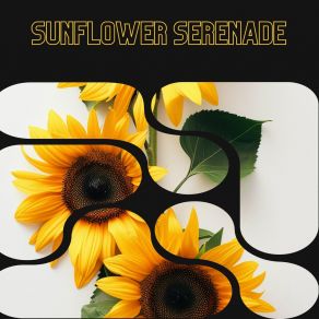 Download track Sunlight Glory Surrounding Life