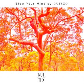 Download track Blow Your Mind Guizzo