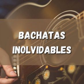 Download track Gotas De Pena El Chaval De La Bachata