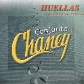 Download track Estas Segura Conjunto Chaney