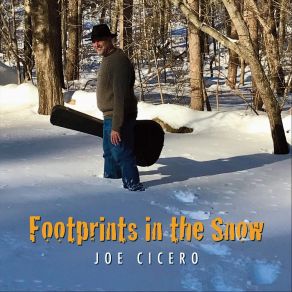 Download track 6. The Hole Joe Cicero