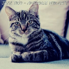 Download track Thrilling Music For Kittens Cat Music Beats