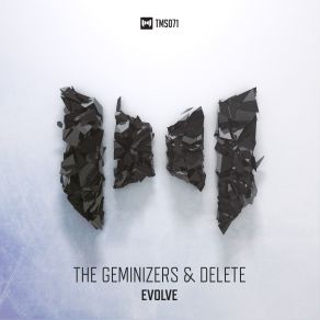 Download track Evolve (Original Mix) Delete, The Geminizers