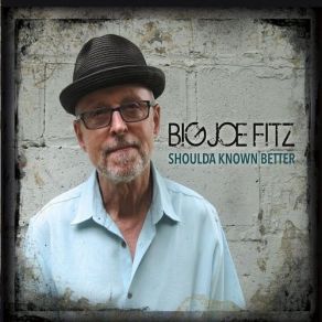 Download track I Wouldn't Treat A Dog (The Way You Treated Me) Big Joe Fitz