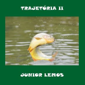 Download track Isolados Junior Lemos