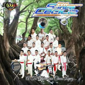 Download track Menderu T'u Banda Santa Cecilia