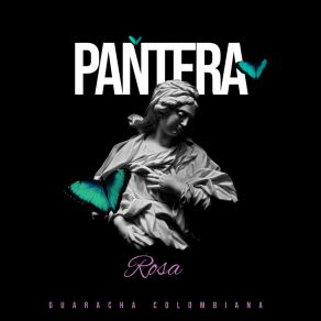 Download track Pantera Rosa (Intro) Guaracha Colombiana