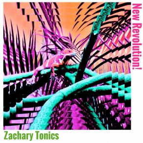 Download track Dream Aloud Zachary Tonics