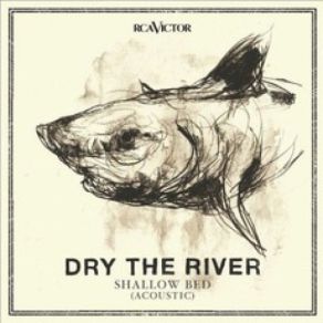 Download track Lion's Den (Acoustic) Dry The River