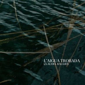 Download track Quartet No. 1: Cinco Colores De Té - 1. Agua Claudia Baulies