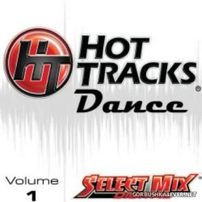 Download track Put Your Hands Up For Detroit (Hot Tracks Remix) Fedde Le Grand