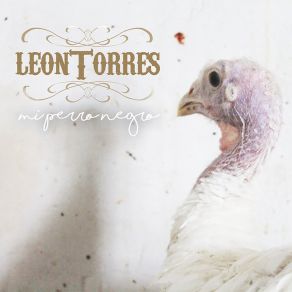 Download track No Te Podré Olvidar León TorresLa Shica