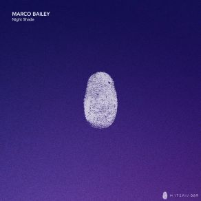 Download track Warning Light (Original Mix) Marco Bailey