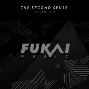 Download track Follow (Original Mix) The Second Sense