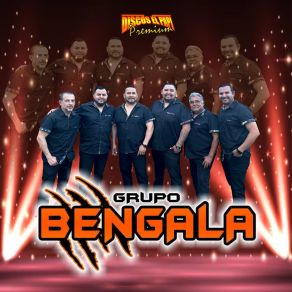 Download track Cumbia Y Sabor GRUPO BENGALA