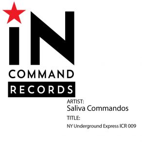 Download track NY Underground Express (Original Mix) The Saliva Commandos