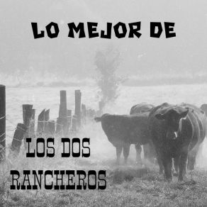 Download track Tu Buen Camino Los Dos Rancheros