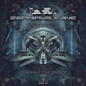 Download track You Have The Choice Ital, Zephirus Kane