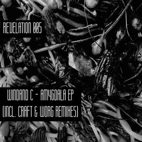 Download track Inductive Inference (Craft Remix) Windand CCraft