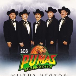 Download track Me Voy Con Mi Dolor Los Pumas Del Norte