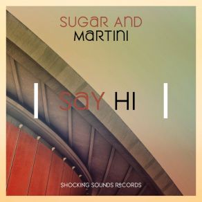 Download track Say Hi (Extended Mix) Sugar