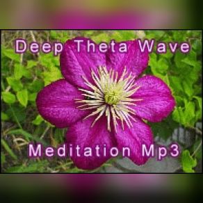 Download track Deep Theta Wave Meditation Music Me Free