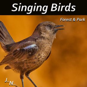 Download track Singing Woodland Birds 02 John Nature