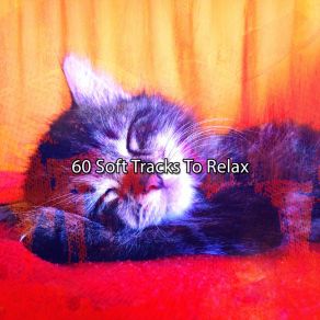 Download track Restful Massage Bedtime Baby