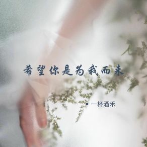 Download track 希望你是为我而来 一杯酒禾