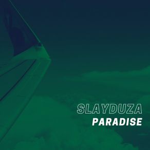 Download track Paradise (Instrumental) SlayduzaΟΡΓΑΝΙΚΟ