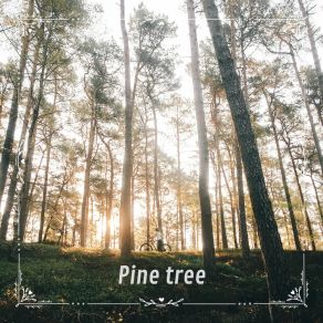 Download track Pine Tree N° 2 RationRadian