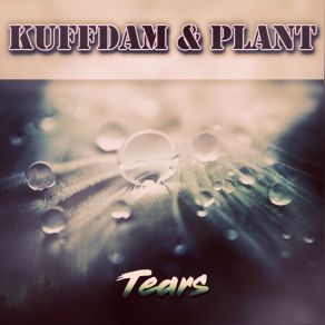 Download track Tears (KandP 3 Way Mix) Atw, Kuffdam & Plant