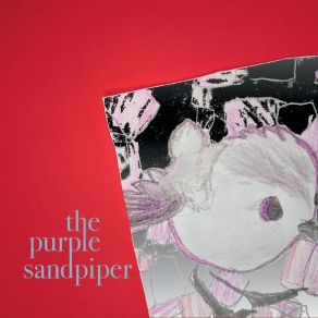 Download track A Christmas Prayer Purple Sandpiper