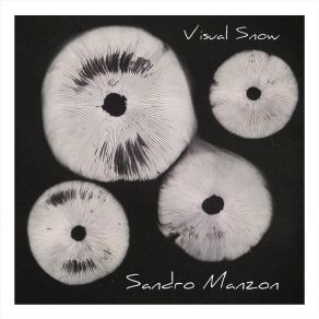 Download track Spring Will Come Sandro Manzon