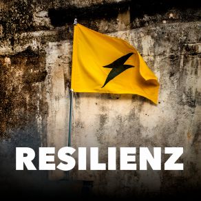 Download track Dias Insanos Resilienz