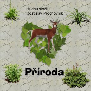 Download track Matka Příroda Rostislav Prochovník